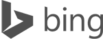 Microsoft Bing Logo